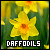 50x50 code