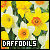 50x50 code