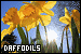 75x50 code