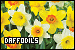 75x50 code