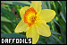 75x50 code