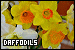 75x50 code