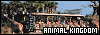 100x35 code