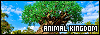 100x35 code