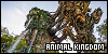 100x50 code