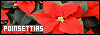 100x35 code