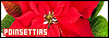 100x35 code