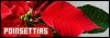 100x35 code