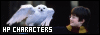100x35 code