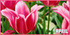 100x50 code