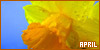 100x50 code