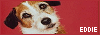 100x35 code