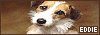 100x35 code