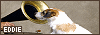 100x35 code