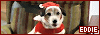 100x35 code