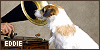 100x50 code