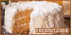 100x50 code