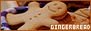 100x35 code