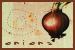 75x50 code