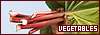 100x35 code