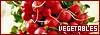 100x35 code