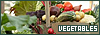 100x35 code