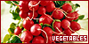 100x50 code