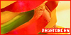 100x50 code