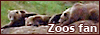 100x35 code