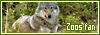 100x35 code