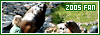 100x35 code