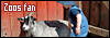 100x35 code