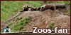 100x50 code