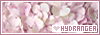 100x35 code