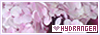 100x35 code