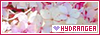 100x35 code
