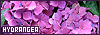 100x35 code