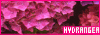 100x35 code
