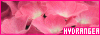 100x35 code