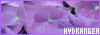 100x35 code