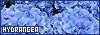 100x35 code