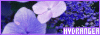 100x35 code