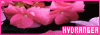 100x35 code