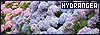 100x35 code