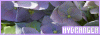 100x35 code