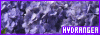100x35 code