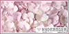 100x50 code
