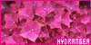100x50 code