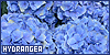 100x50 code