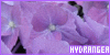 100x50 code